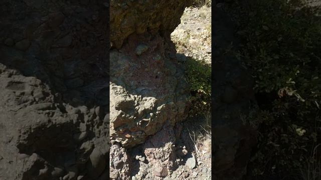 Каменные грибы