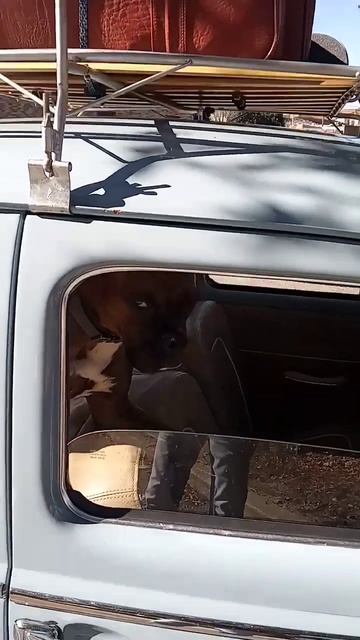 January 14, 2023 смотреть онлайн