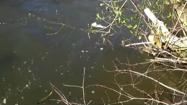 Четыре строчки