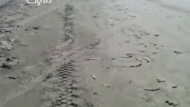 В три строки 28 февраля 2018