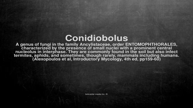 Medical Vocabulary: What Does Conidiobolus Mean