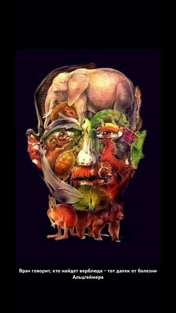 Врач говорит, кто найдет верблюда - тот далек от болезни Альцгеймера. смотреть онлайн