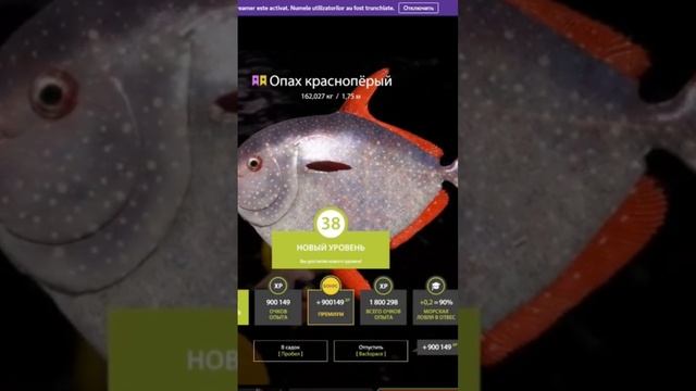 Трофейный Опах Краснопёрый #рр4 #фарм #fischer #рекомендации смотреть онлайн