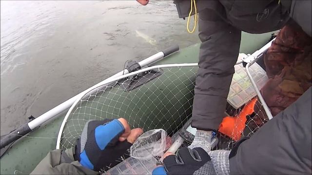 Октябрь наступает.... рыбу пробуждает))) смотреть онлайн