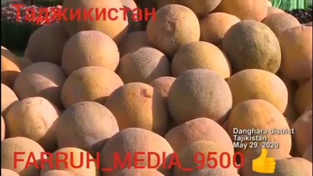 ДАНҒАРА 29.05.2020 ВЫСТАВКА 142 ТЫСЯЧ 130 ТОНН смотреть онлайн