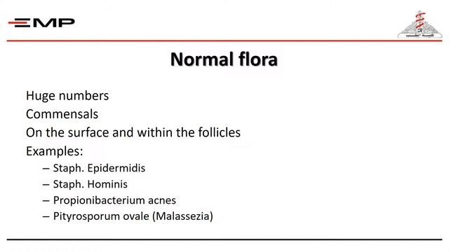 Natural Resistance of the Skin & Common Skin Infections- 1 смотреть онлайн