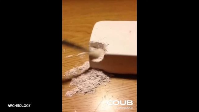 Популярное - Сбор грибов - тихая охота!