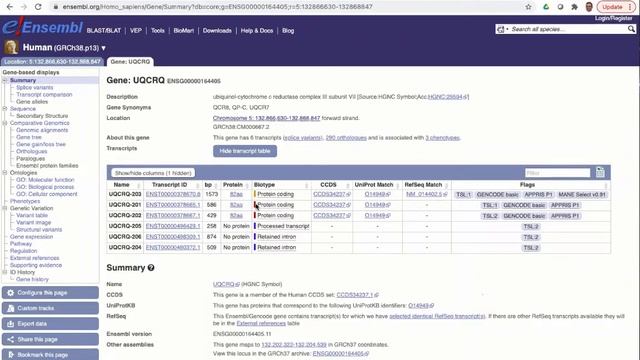 Virtual Workshop - The Ensembl Genome Browser - (2021): Webinar 2 - Genes and Transcripts смотреть онлайн