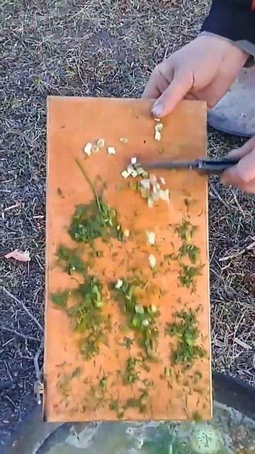 Уха, юшка, шурпа #рыбалка #class #fishing #шурпа #костёр смотреть онлайн