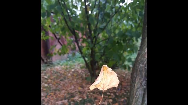 И снова осень смотреть онлайн