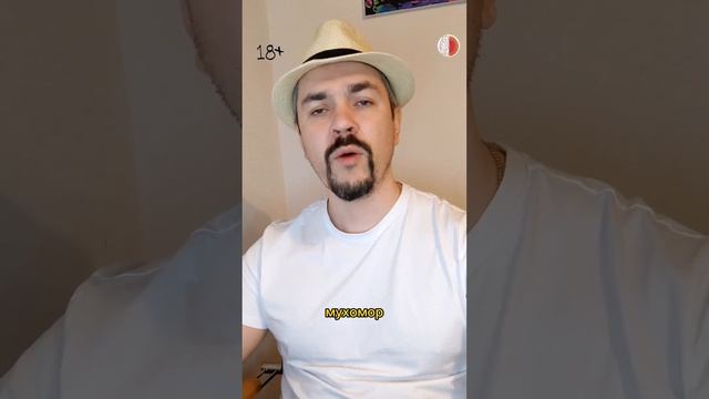 Как понять МУХОМОРНЫЙ Трип или как понять себя смотреть онлайн