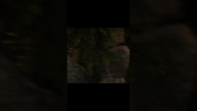 Indiana Jones ▶️ Затерянный храм смотреть онлайн