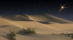 ПИКНИК | ЕГИПТЯНИН