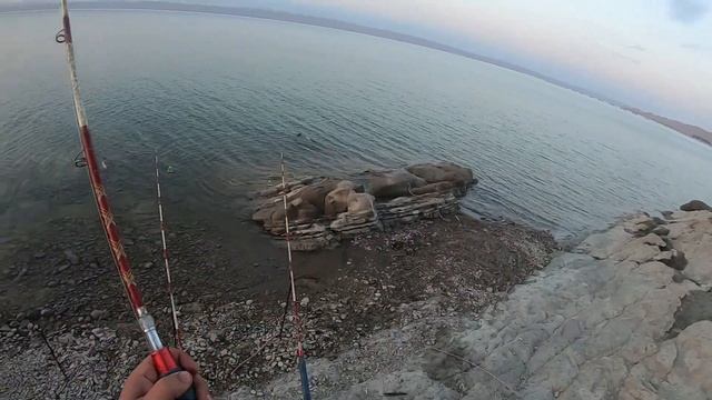 Рыбалка в Мингечевире. Mingəçevirdə balıq ovu. SAZAN, SUDAK. смотреть онлайн