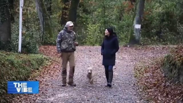 Italy Truffle-hunting and Trading with China смотреть онлайн