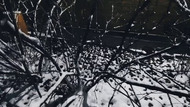 VID 20230328 060657 Опять во тьме. У наших ног...1907 (В. Ходасевич)...Павел Васильев Лахтинский смотреть онлайн