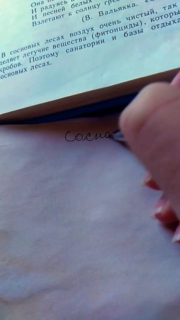 записываю в Травник о сосне# травница # Травник смотреть онлайн