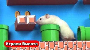 Хомяк выбирается из МНОГОУРОВНЕГО ЛАБИРИНТА с ловушками во ВСЕЛЕННОЙ МАЙНКРФТ ! Видео для детей