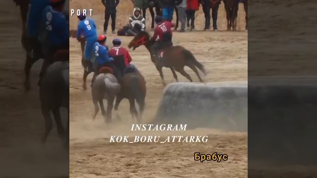 Кахарман жана балдары 🐎🇰🇬 Биздин баракчага катталгыла мыкты видеолорду жүктөп турбаыз. смотреть онлайн