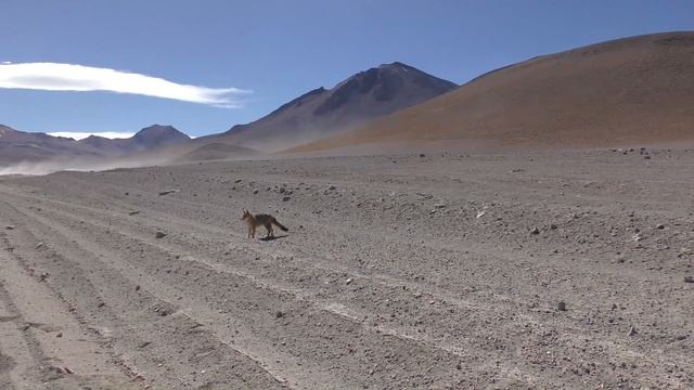 Jižní Amerika 2024 / Argentina - Chile - Bolívie смотреть онлайн