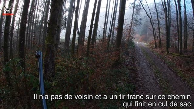 CHASSE AUX SANGLIERS ET AUX CERVIDÉS: beaucoup de rencontres et de tirs!! смотреть онлайн