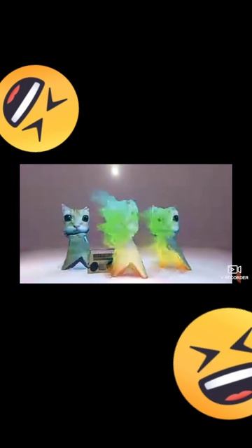 Головы сияют 😎 #мем #мемы #кот #коты #флекс #top #shorts