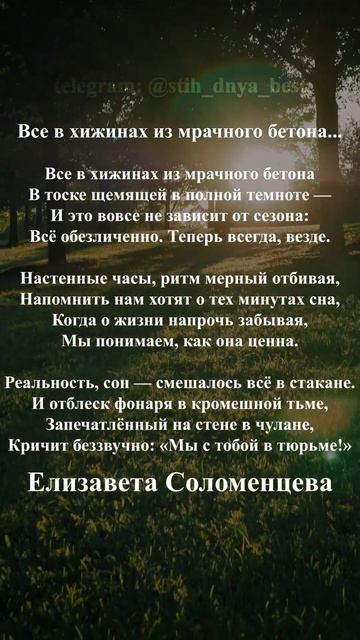 #стихи #стихиолюбви #поэзия #стих смотреть онлайн