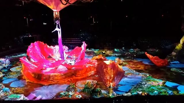Cirque du Soliel: Toruk - The First Flight - Flower Sequence смотреть онлайн