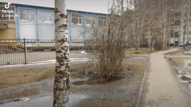 Утки во дворе смотреть онлайн