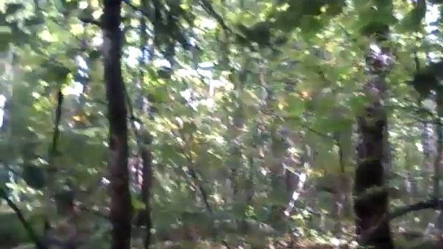 WP 20140906 017 смотреть онлайн