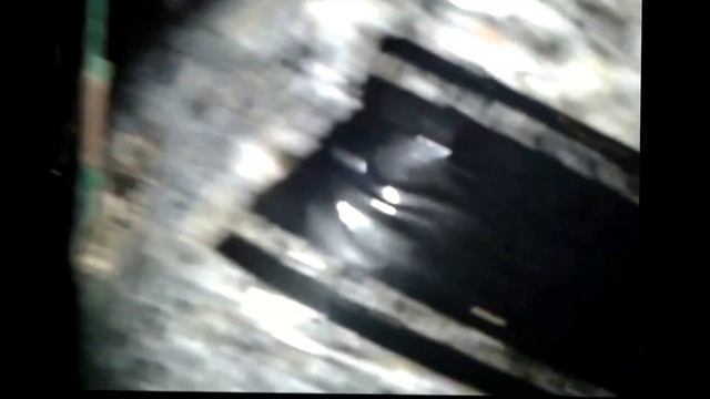 Развитие грибных блоков. День четвертый