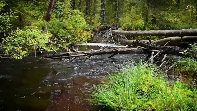 вольная зямля беларуская смотреть онлайн