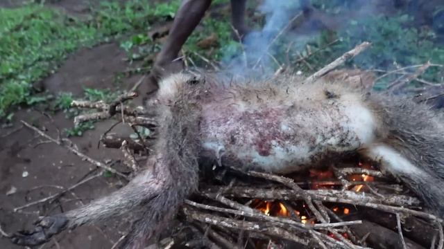 HADZABE CATCH, ROAST AND EAT IT IN THE BUSH: hadzabe hunters catch a monkey in the bush tanzania смотреть онлайн