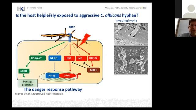 Seminario IATA 'Candida albicans: From commensalism to pathogenicity' смотреть онлайн