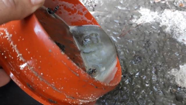 вода после хим,чистки смотреть онлайн