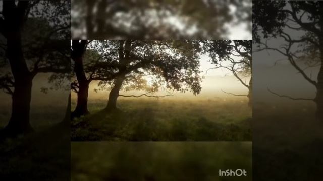 Күләш Ахметова 📖  