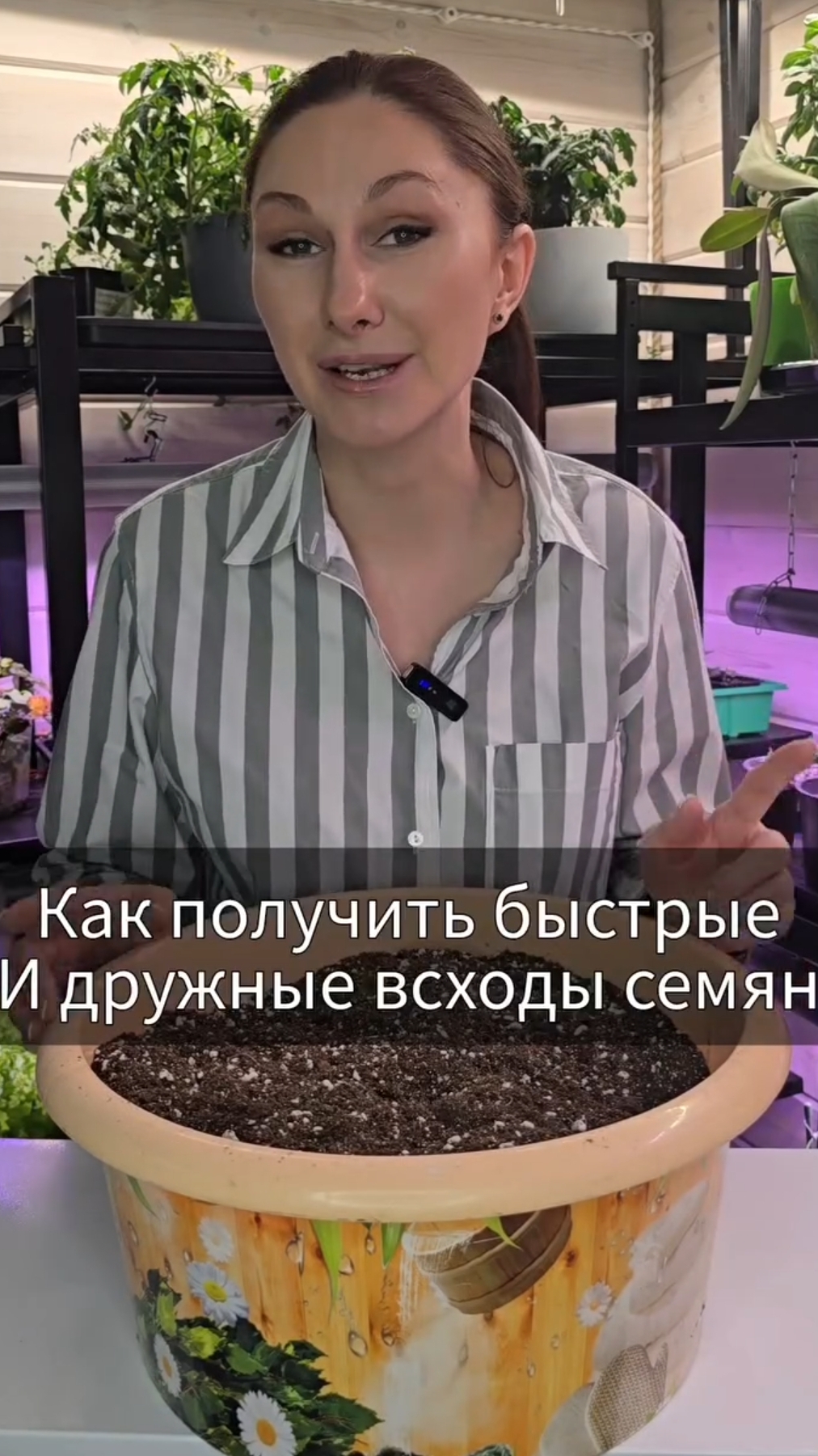 Всё взойдёт очень быстро и дружно. смотреть онлайн