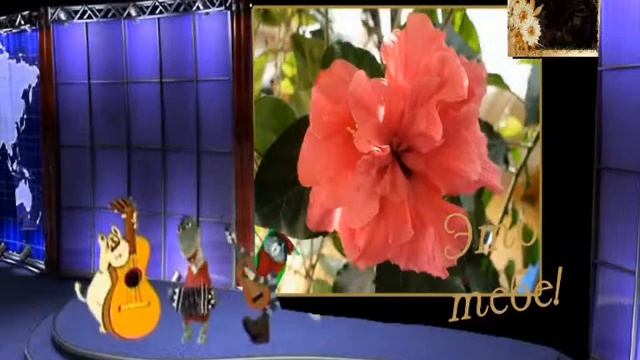 Марине Мачековой 14 05 2014 смотреть онлайн