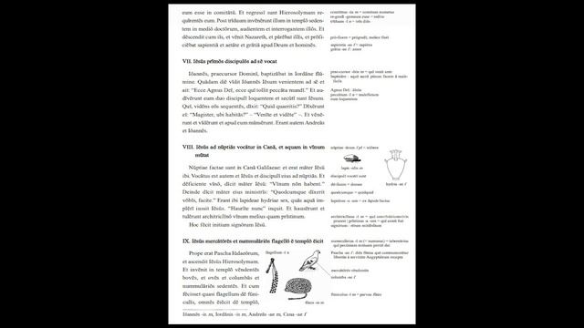 Латинский - 179