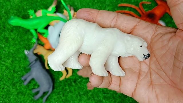 Animals - Cow Rhino Dog Leopard Camel Zebra Tiger Lion Cat Frog Horse Gorilla Cobra Snake Bear.. смотреть онлайн