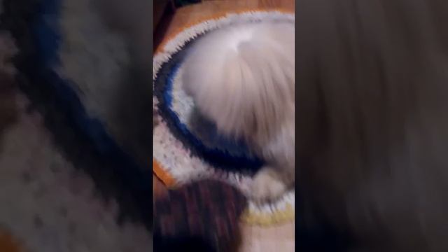 Попробуй отними смотреть онлайн