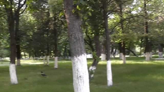 Светловодск - Александрия . часть 3 .