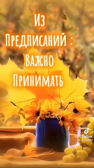 Я угощу тебя чаем из мечты смотреть онлайн