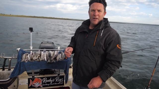 King George whiting, Rigs , Baits Tinganoster , Advanced Tips KGW. Reedy's Rigs Paternoster смотреть онлайн