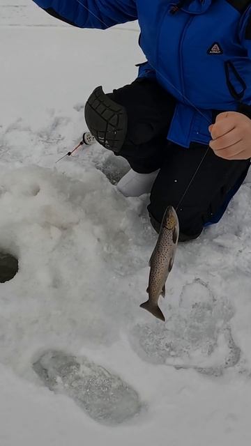 ЗАГНУЛО ЗИМНЮЮ УДОЧКУ смотреть онлайн