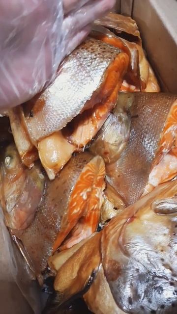 МЯСИСТЫЕ ГОЛОВЫ ФОРЕЛИ И СЁМГИ ГОРЯЧЕГО КОПЧЕНИЯ В НОВОСИБИРСКЕ!!! #2023 #рыба #новосибирск #рыбалк смотреть онлайн