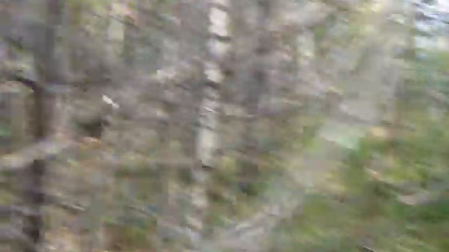 Выход за грибами смотреть онлайн