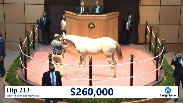 20 SEPT 213 Living the Life 20 Tapit colt sold @Fasig Tipton Sept yearling sale $300,000 смотреть онлайн