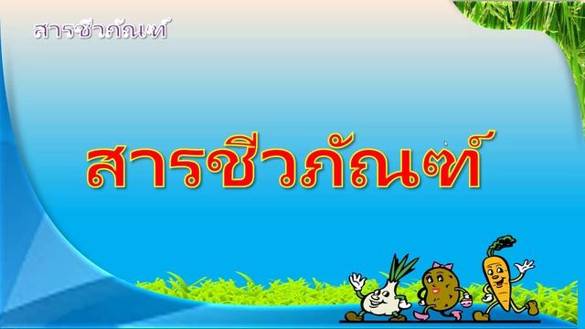 โรคกาบและใบไหม้..... ข้าวโพด