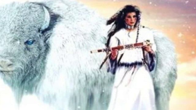 Code Sophia - Code Clé 7 - Femme Bison Blanc смотреть онлайн